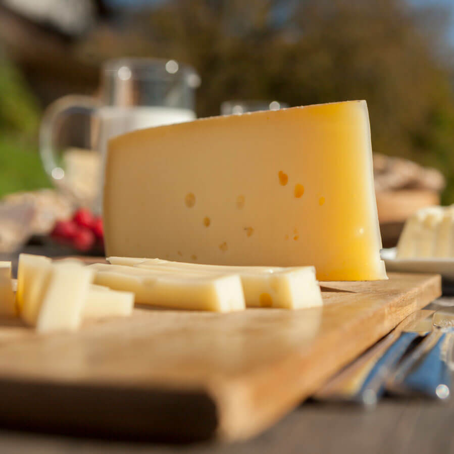 Käserei Hartkäse, Bergkäse, Weichkäse, Frischkäse Südtiroler Milch